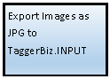 Flowchart: Process: Export Images as JPG to 
TaggerBiz.INPUT
